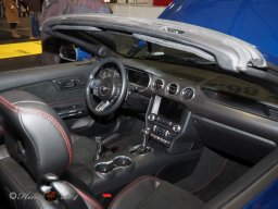 Vienna Drive 15.01.2026